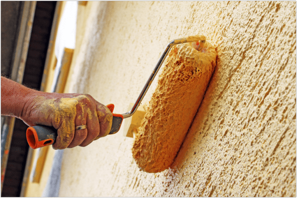 Bark beetle staining