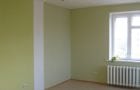 Professional wall painting in two colors