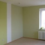 Professional wall painting in two colors