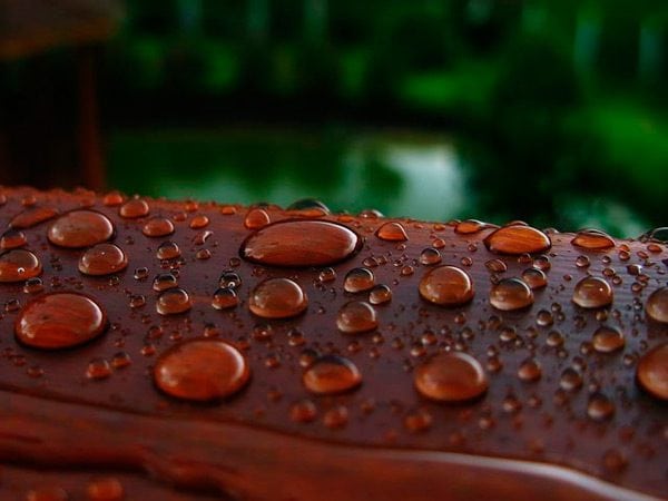 Drops of water on a wooden surface