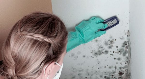 Removing mold from the wall