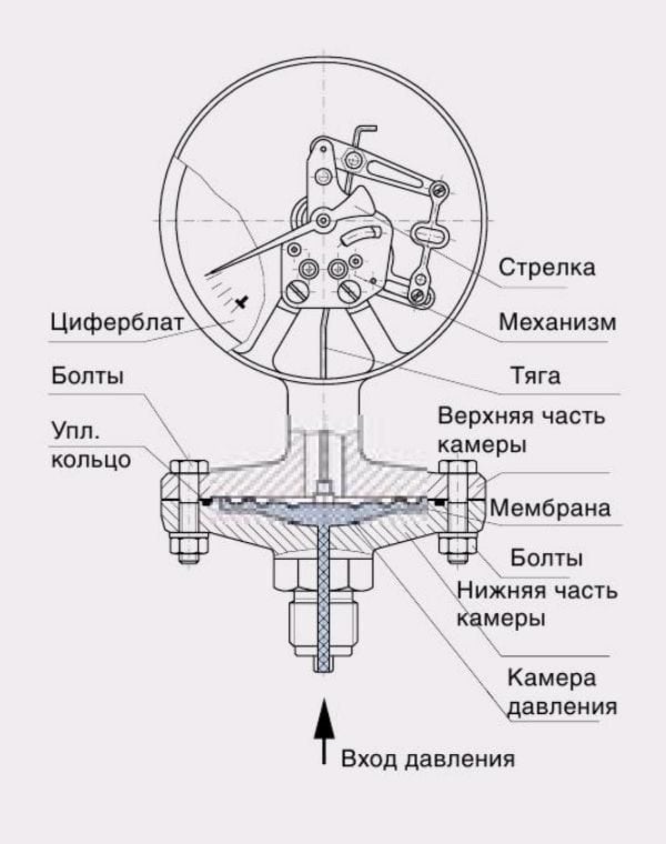 Spring pressure gauge device