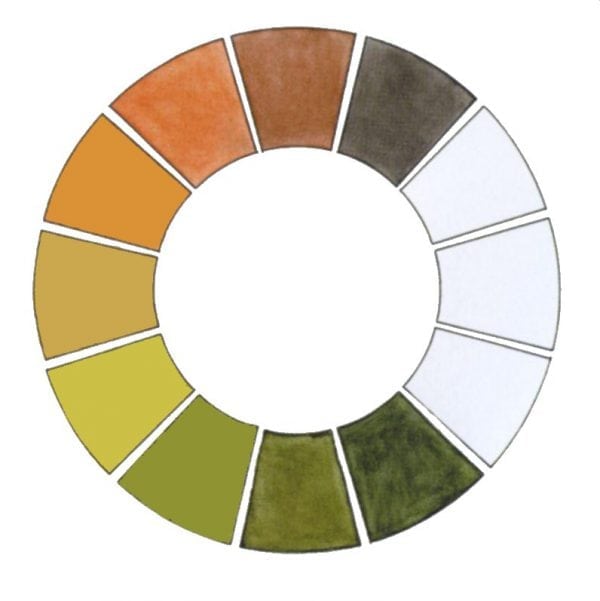 Earthy color picker