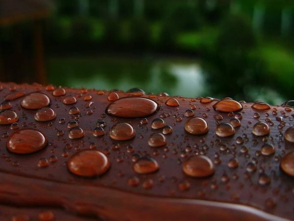 Water-repellent wood impregnation