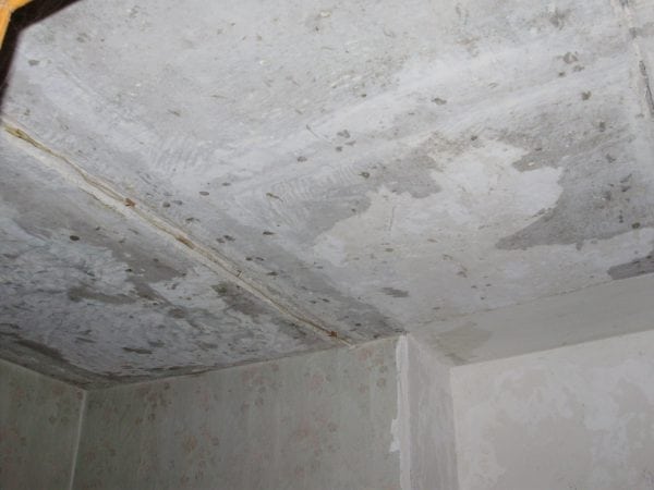 The ceiling cleared of old whitewash