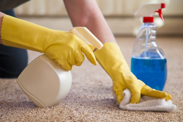 Carpet Cleaning