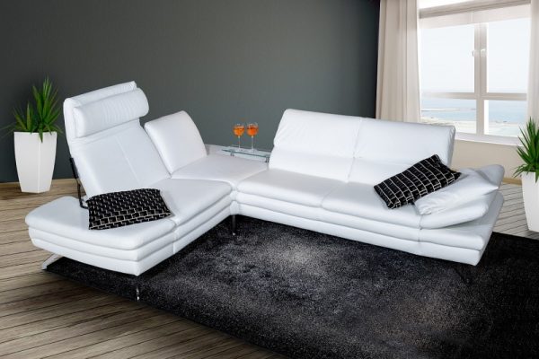 White may not be practical for a sofa.