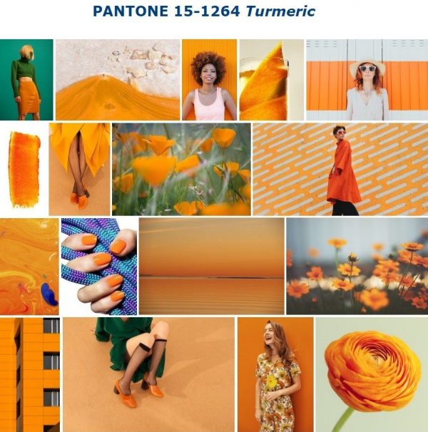 2019 Turmeric Color