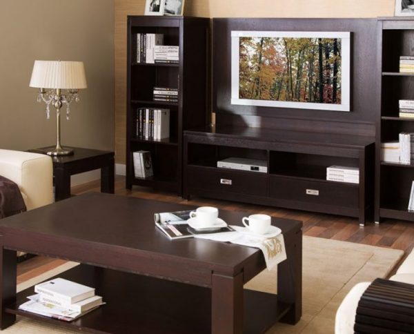 The use of dark brown tones in the design of the living room