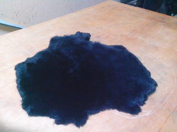 Dyed beaver fur