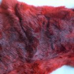 Rabbit fur coloring