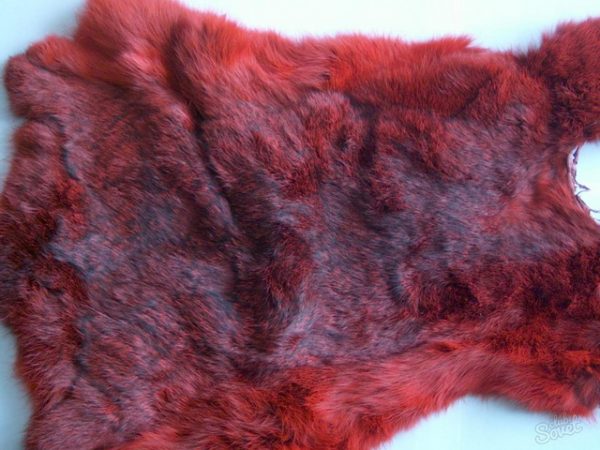 Rabbit fur coloring