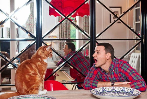 Alexander Oleshko in the kitchen with his red cat