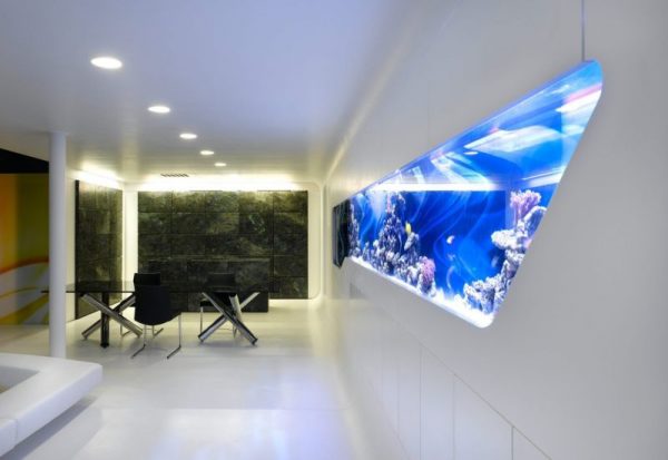 Hi-tech aquarium design