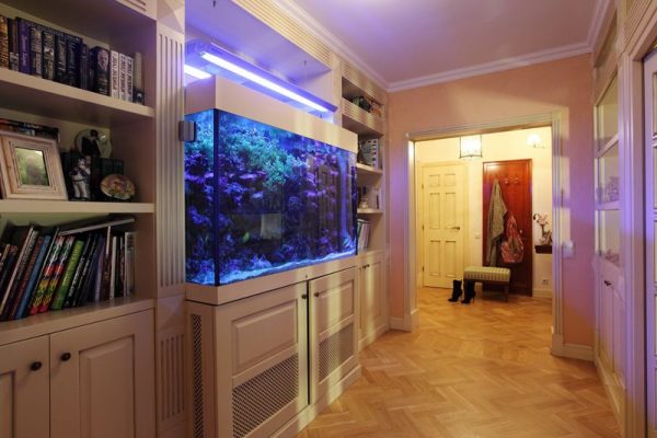 Aquarium built into the closet in the hallway