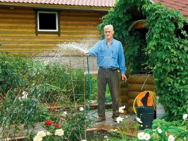 Flower garden in the yard