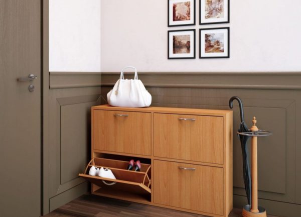 A special cabinet is recommended for storing shoes.