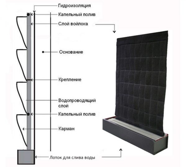 การออกแบบ phytomodule ประเภทสักหลาด