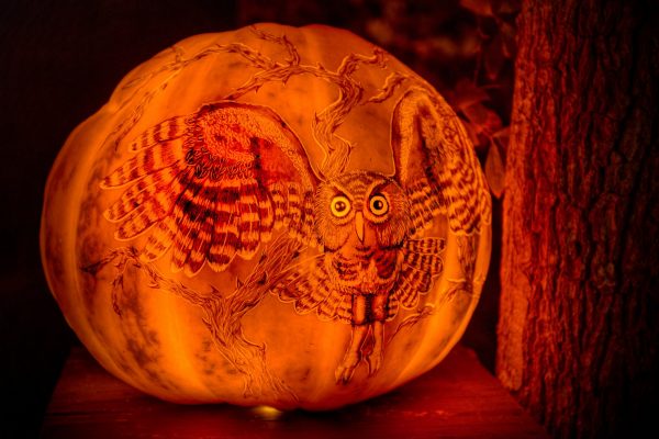 Original drawing on a pumpkin