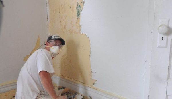 Methods for removing plaster from the walls