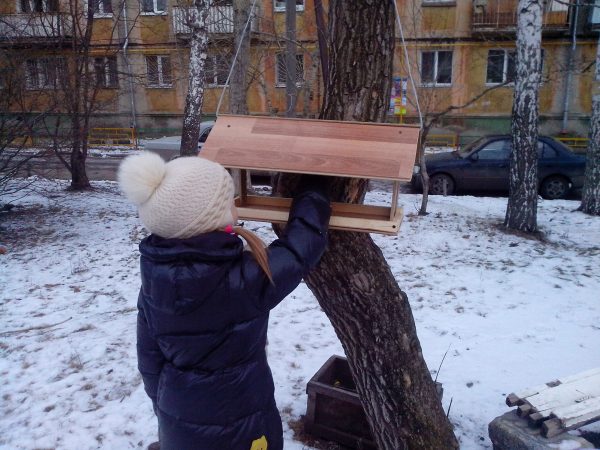 Homemade Bird Feeder