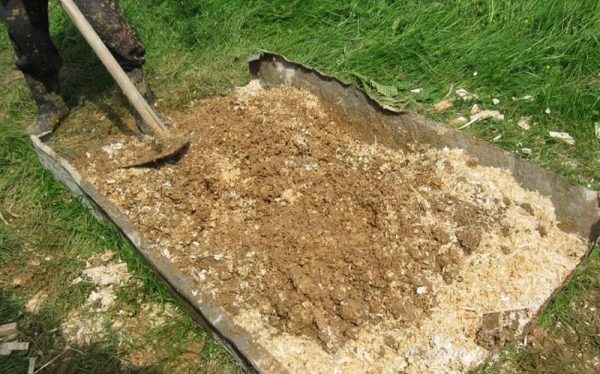 Preparation of plaster mortar with sawdust